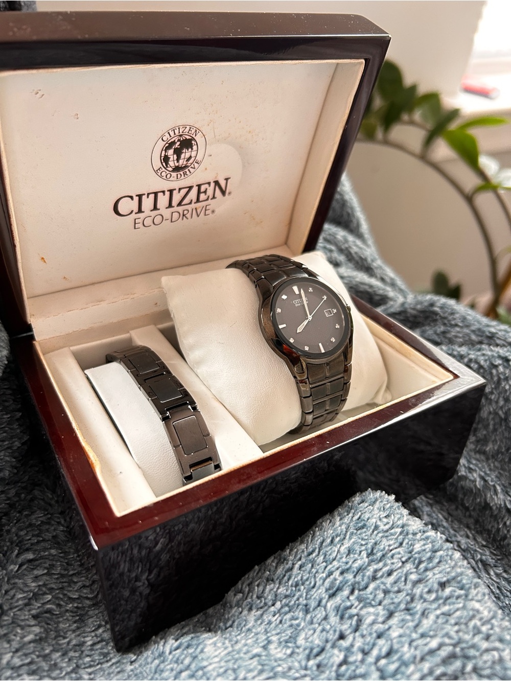 Citizen Eco-Drive Black Diamond Dial Watch